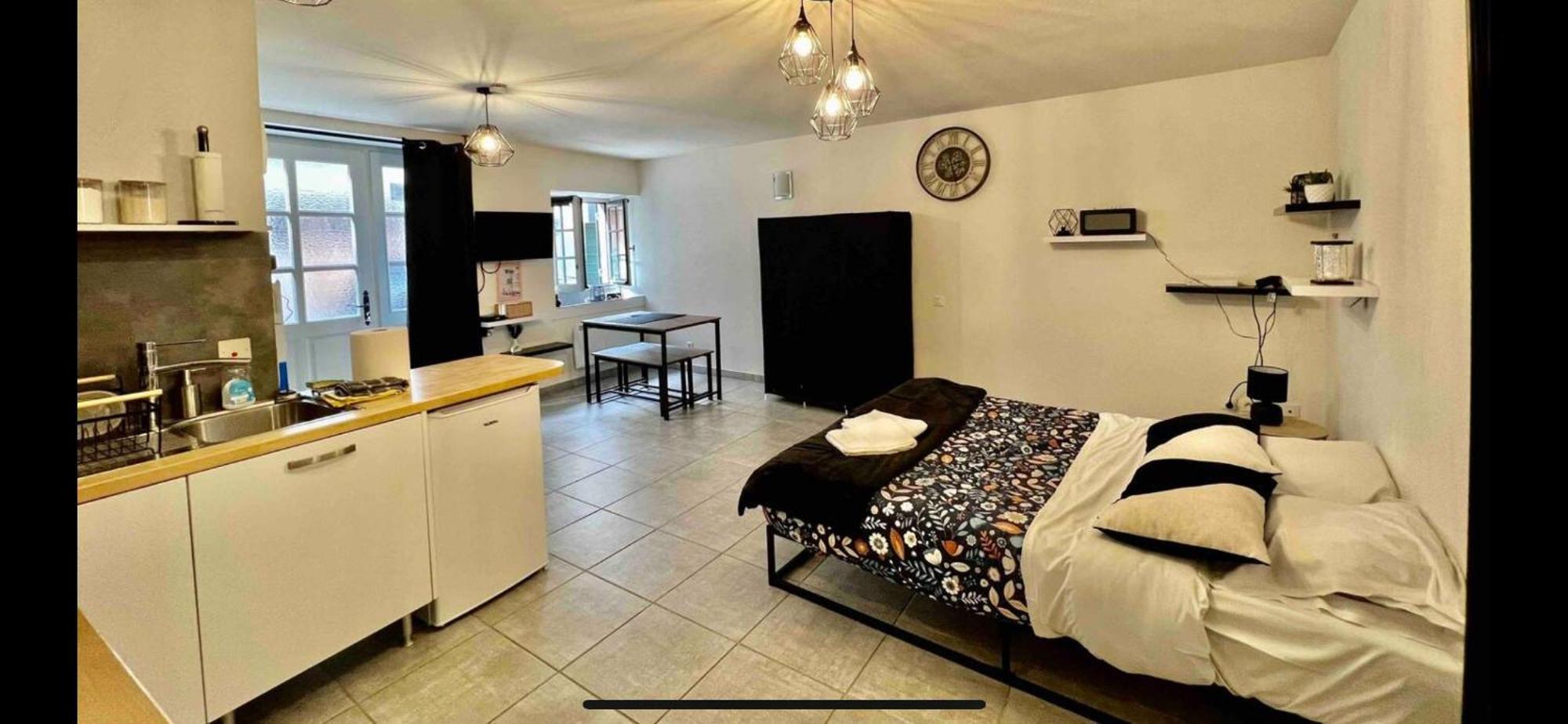 Nid Douillet - Elegant Studio En Plein Centre De รีอง ภายนอก รูปภาพ